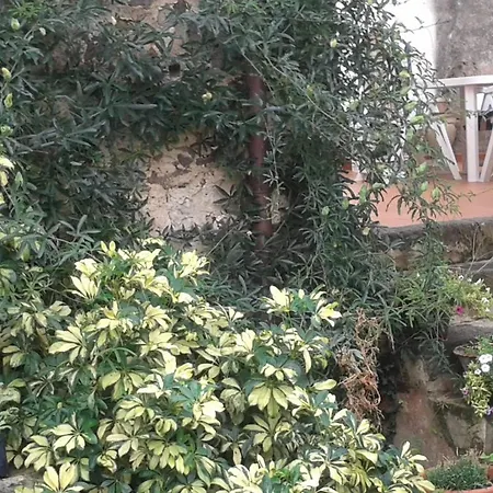 Casa Pisanu Bed and breakfast *